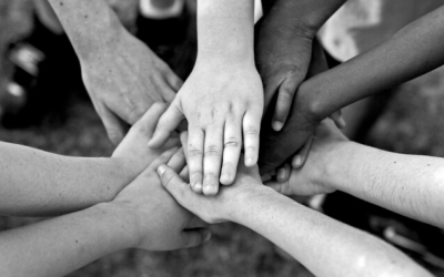 Nonprofits – how should our teams work?
